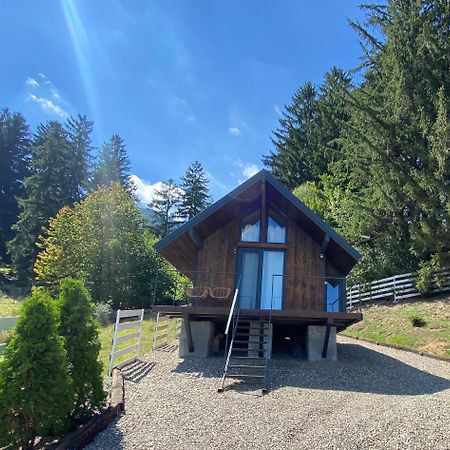 Villa Bramble Tiny House Zărneşti Exterior foto
