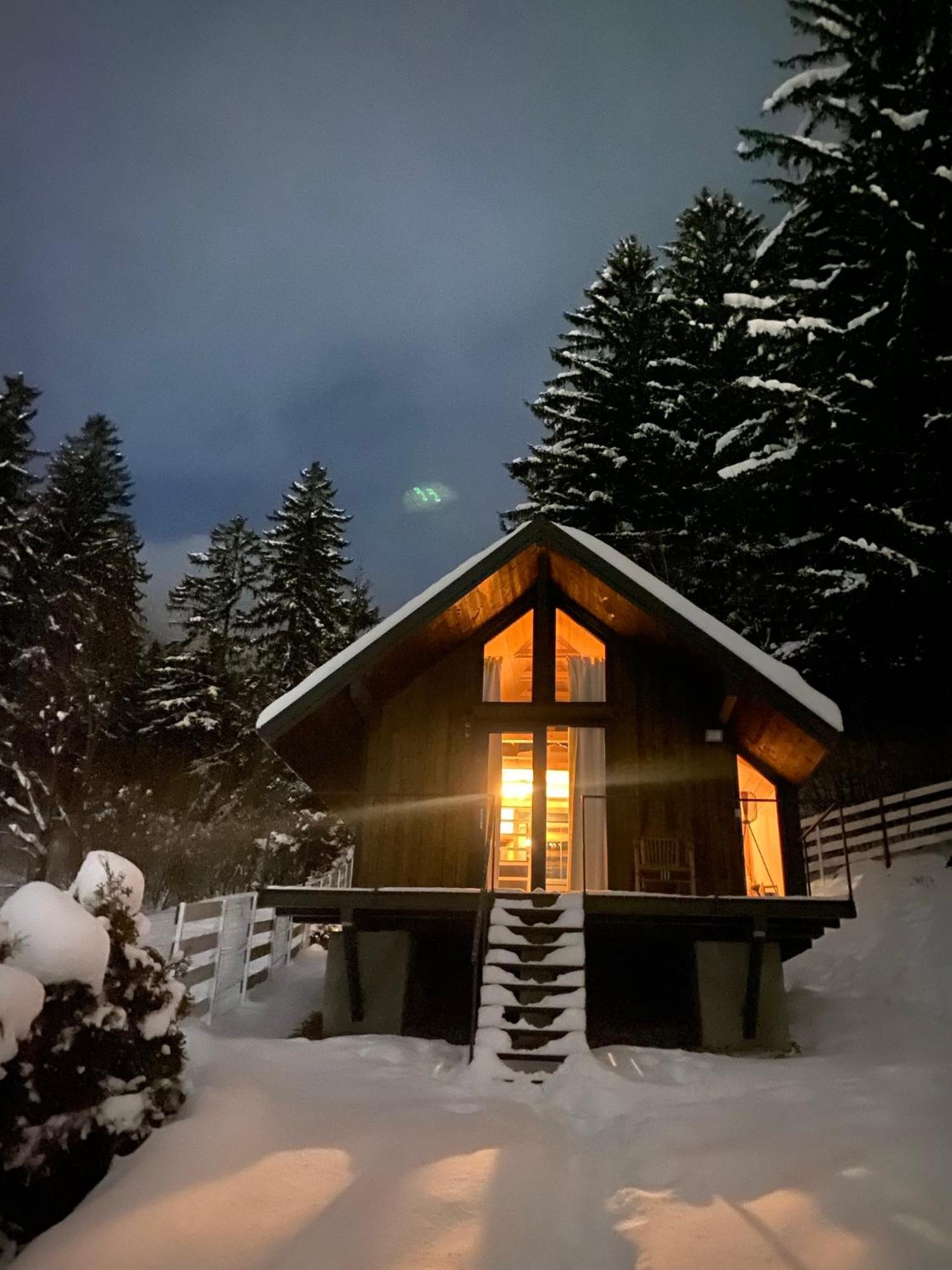 Villa Bramble Tiny House Zărneşti Exterior foto